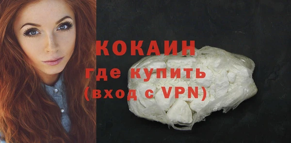 бошки Протвино