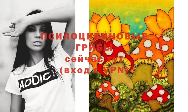 бошки Протвино