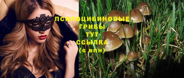 бошки Протвино
