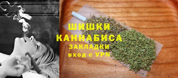 бошки Протвино