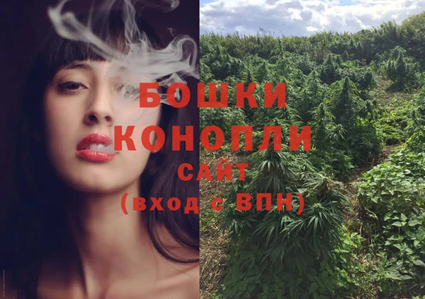 бошки Протвино