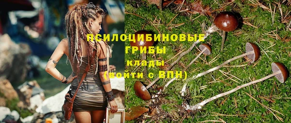 бошки Протвино