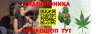 PSILOCYBIN Тара