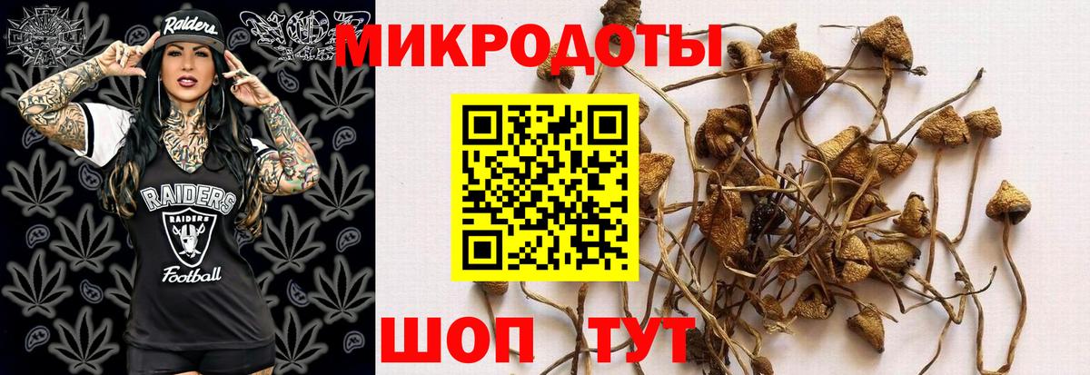 Псилоцибиновые грибы мицелий Сатка