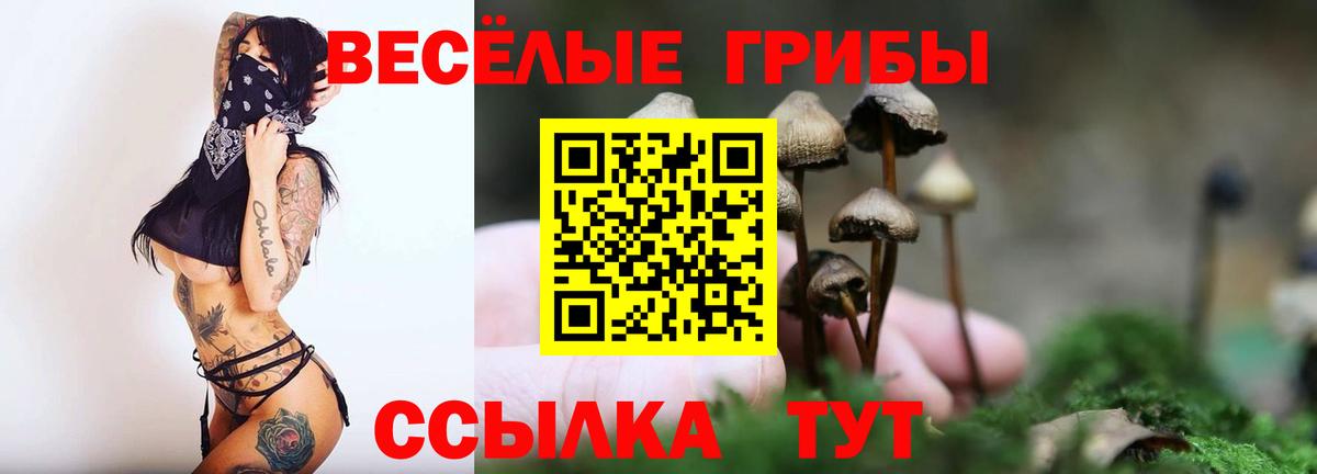 Псилоцибиновые грибы Psilocybe  Вход с VPN  купить наркоту  Сатка  Псилоцибиновые грибы мицелий 